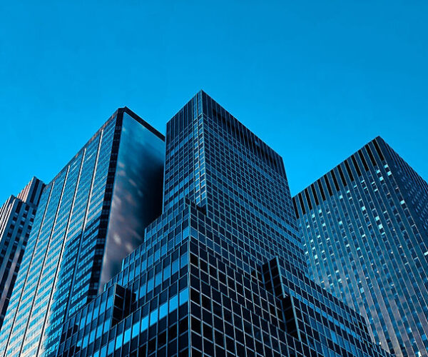 Consulting Services